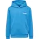 Hummel Sudadera con capucha Casper