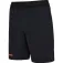 Hummel Short Blaze Pro Training
