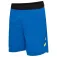 Hummel Шорты Blaze Pro Training