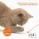 Catit Laserpointer für Katzen
