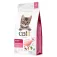 Catit Opskrifter kylling kattefoder 2kg
