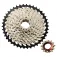 Brn Bib Light fietscassette