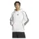 adidas Originals Adicolor Teamgeist Cut Line hoodie