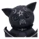 Nemesis now Cult Cuties Beelzebat Mini Figure 9 cm
