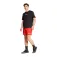 Five ten Logo shorts