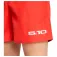 Five ten Logo shorts