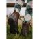Equitheme Mitjons llargs de dona Argyle