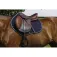 Equitheme Manta de sela Eclat