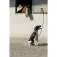 Equitheme Corretja per a gossos Haspen