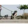 Equitheme Corretja per a gossos Haspen