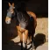 Equitheme Protector de coll Lycra Mesh