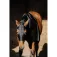 Equitheme Protector de coll Lycra Mesh
