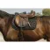 Equitheme Pretty saddle pad