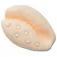 Jibbitz Pearl Puka Shell Stift