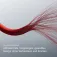 Beats 1.5 m USB-C线