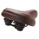 Brn Seient Relax