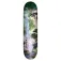 Dgk Prosperity kalis Skateboarddeck