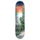 Dgk Skate deck Prosperity vaughn