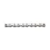BBB SingleLine SmartLink Ni BCH-011 chain