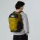 The north face Borealis backpack