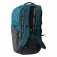 The north face Borealis backpack