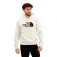 The north face Drew Peak Regular kapuzenpullover