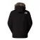 The north face McMurdo parka