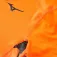 Mizuno Virtual Body G5 langarm-baselayer