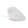 Natec Crake 2 Pro Vertical 12.800 DPI ergonomisk mus