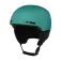 Oakley Casc Mod1 mips