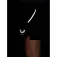 Castore Apex 6´´ Spodenki