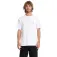 Volcom Stone Blanks Basic 半袖Tシャツ