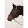 Dy´on Capezza Cavesson Hunter