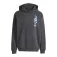 adidas Sudadera con capucha Power Graphic