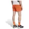 adidas Short Terrex Multi Light 5´´