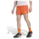 adidas Terrex Multi Light 7´´ shorts