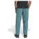adidas Terrex Multi Liteflex pants
