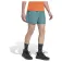 adidas Terrex Multi shorts
