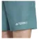 adidas Terrex Multi shorts