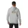 Helly hansen Sudadera con capucha Core Graphic