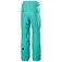Helly hansen Sogn Cargo 바지