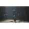 Playstation PS5 WUCHANG Fallen Feathers Day 1 Edition