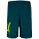 Everlast Шорты Bermuda