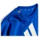 adidas Essentials pants