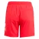 adidas Essentials Logo CLX simshorts