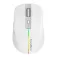 Coolbox Mouse wireless W01