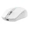 Coolbox Mouse wireless W01