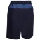 Trespass Quest shortsit