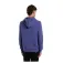 Dickies Oakport hoodie