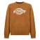 Dickies Ruston pullover
